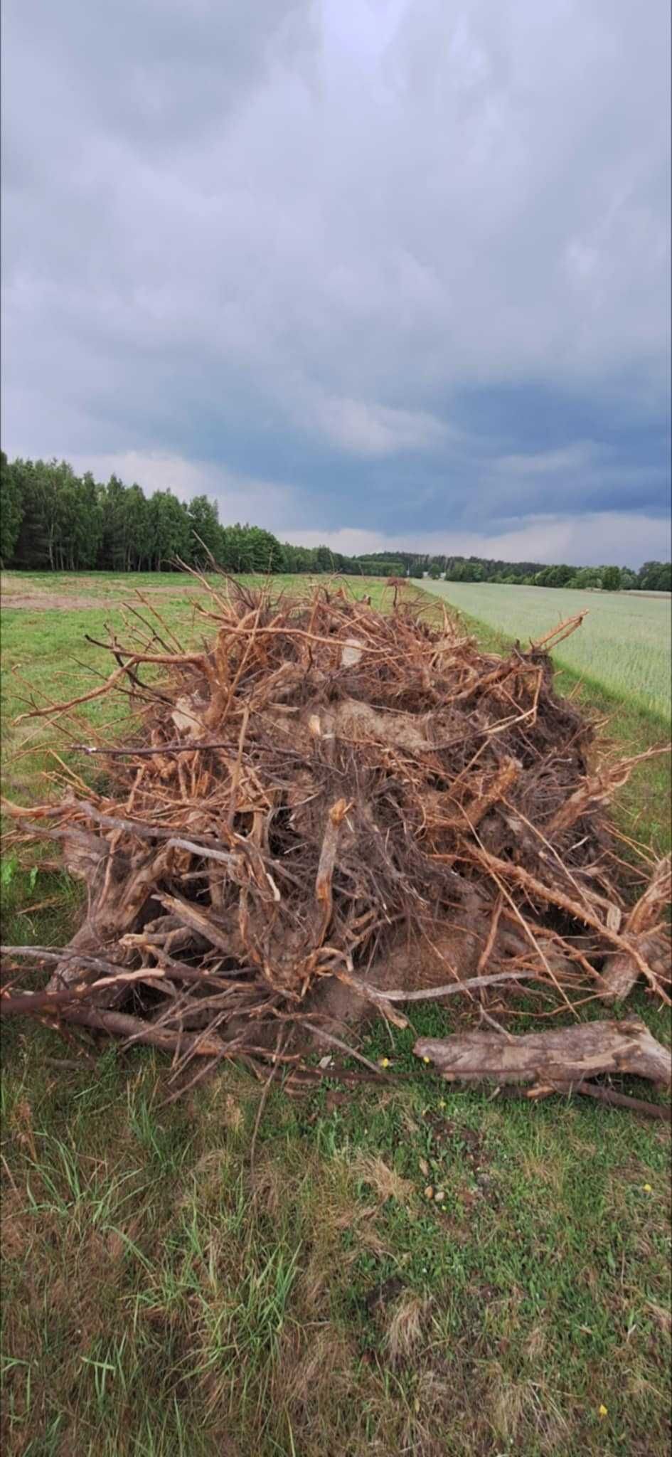 Działki rolne 3,5ha (cena za całość)  Glinojeck