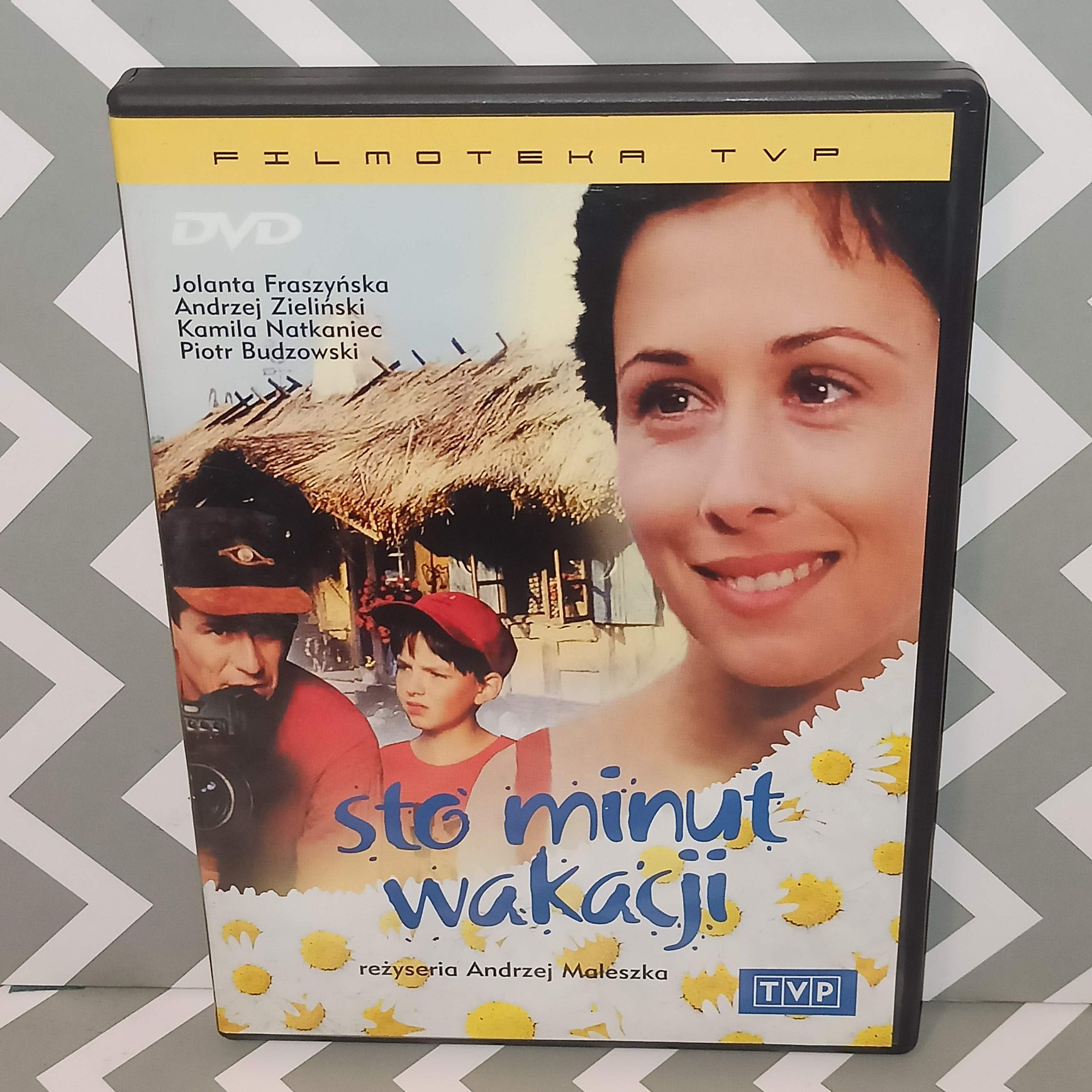 Sto minut wakacji Andrzej Maleszka Fraszyńska Płyta DVD Film DVD Kino