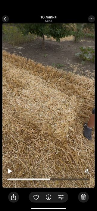 Солома в тюкаххх