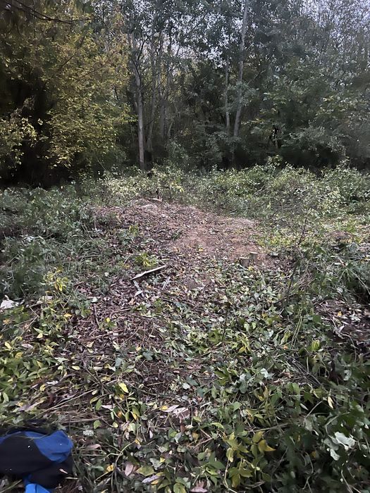 Wynajme dzialke 2000m2