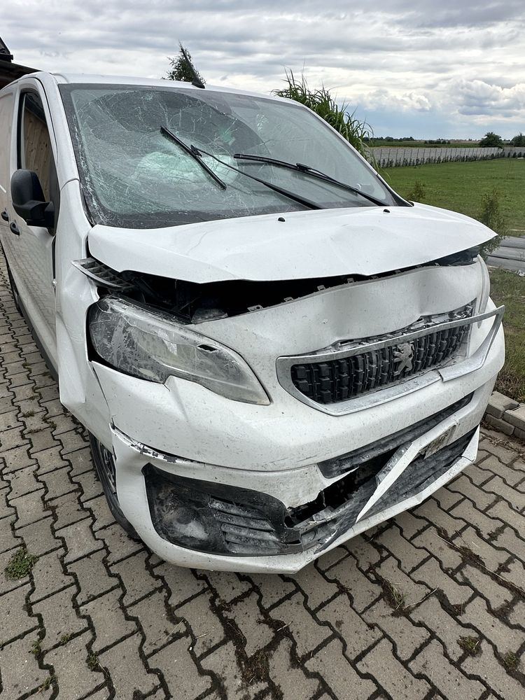 Peugeot expert 2021 1.5 l1h1 vat1 vat-1 samochod dostawczy bus