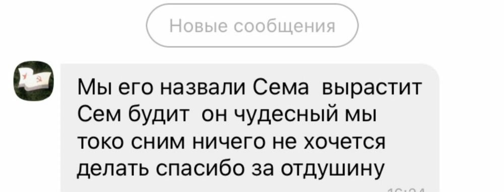 Чудо   малыши    йорка