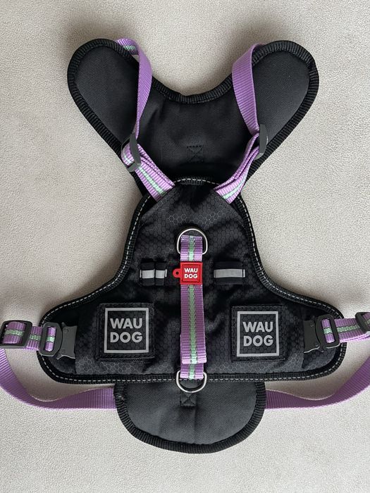 Безпечна шлейка для собак WAUDOG Nylon з QR паспортом