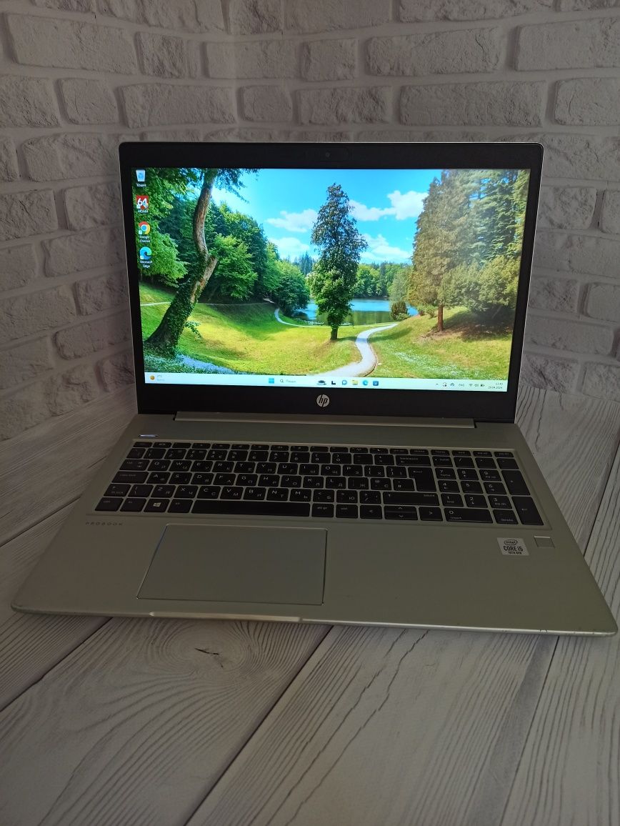 Ноутбук HP ProBook 450 G7 I5-10210U 8Gb 256Gb