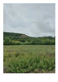 Vendo terreno agrícola com construção em ruinas