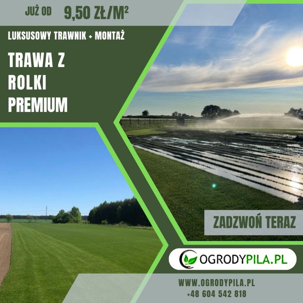 Trawa z Rolki Premium