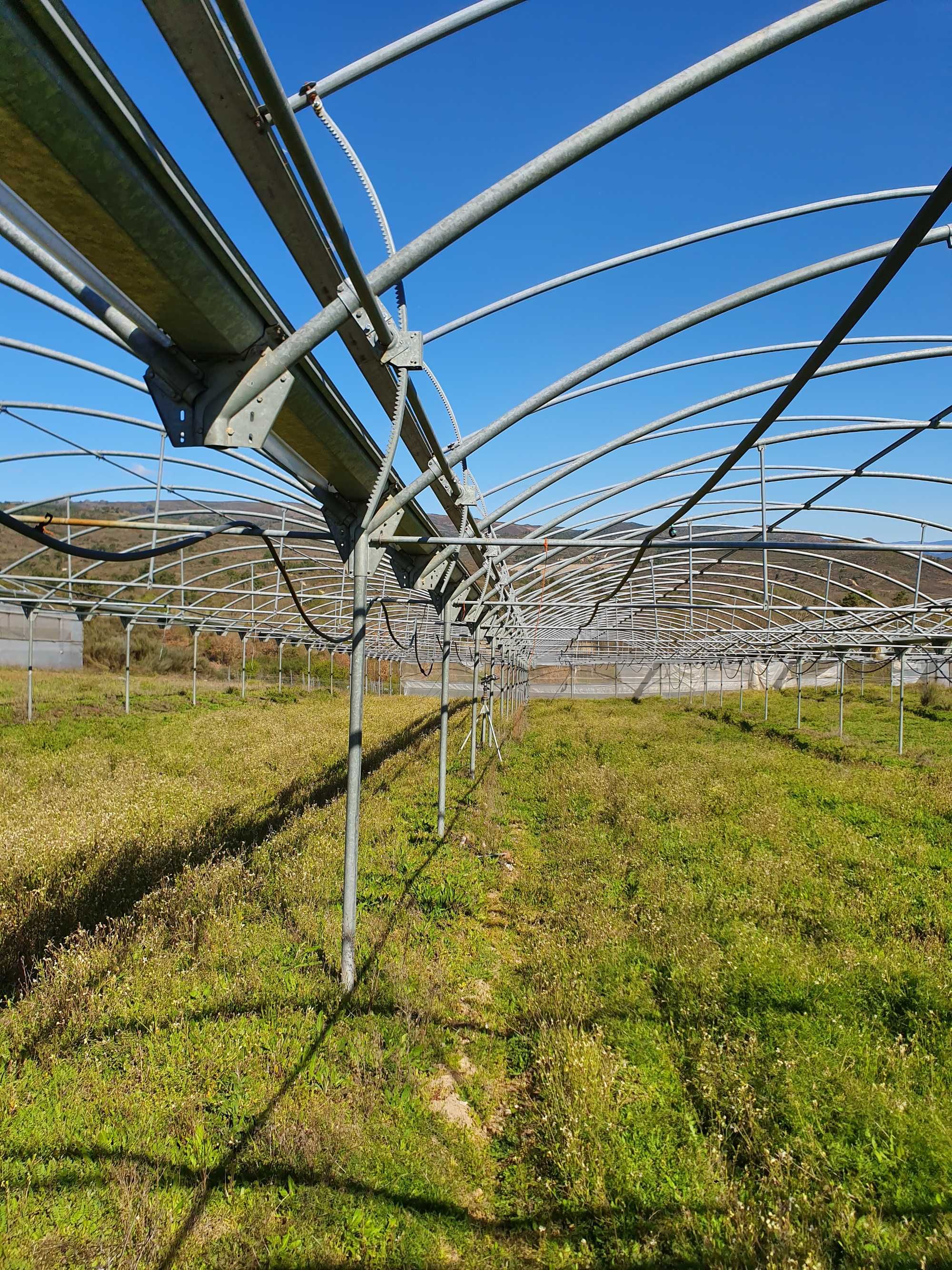 Estufa agricola desmontada com 7000 m2