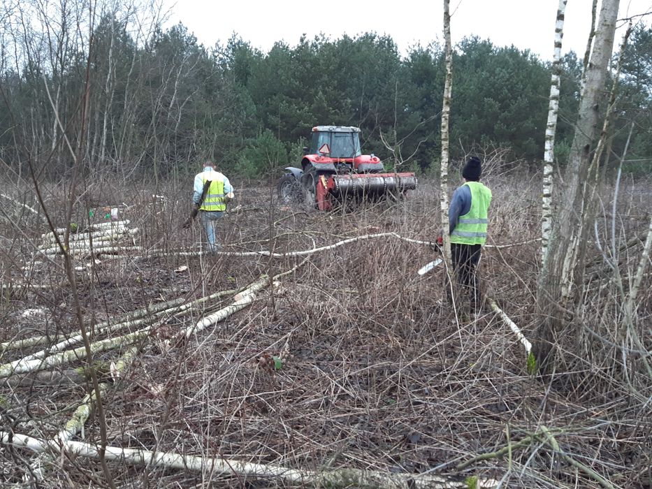 mulczowanie mulczer lesny wycinka drzew czyszczenie dzialek krzaków