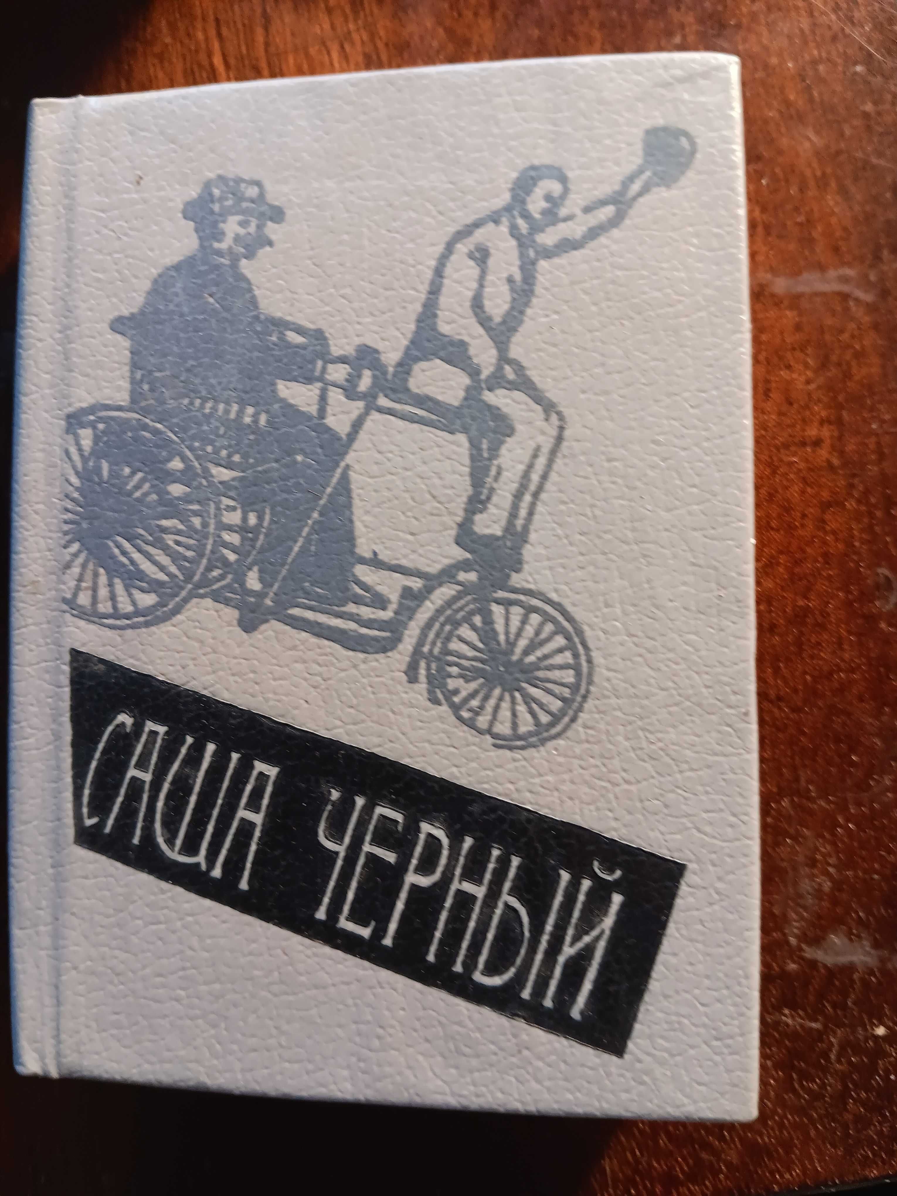 Саша Чёрный Андрей Белый Мелкий бес Андрей Белый Петербург Долгополов