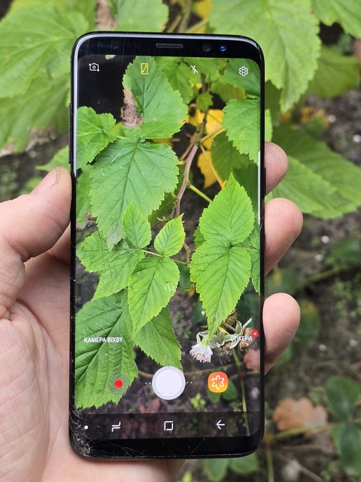 Samsung S8 ( 4/64Gb ) Neverlock