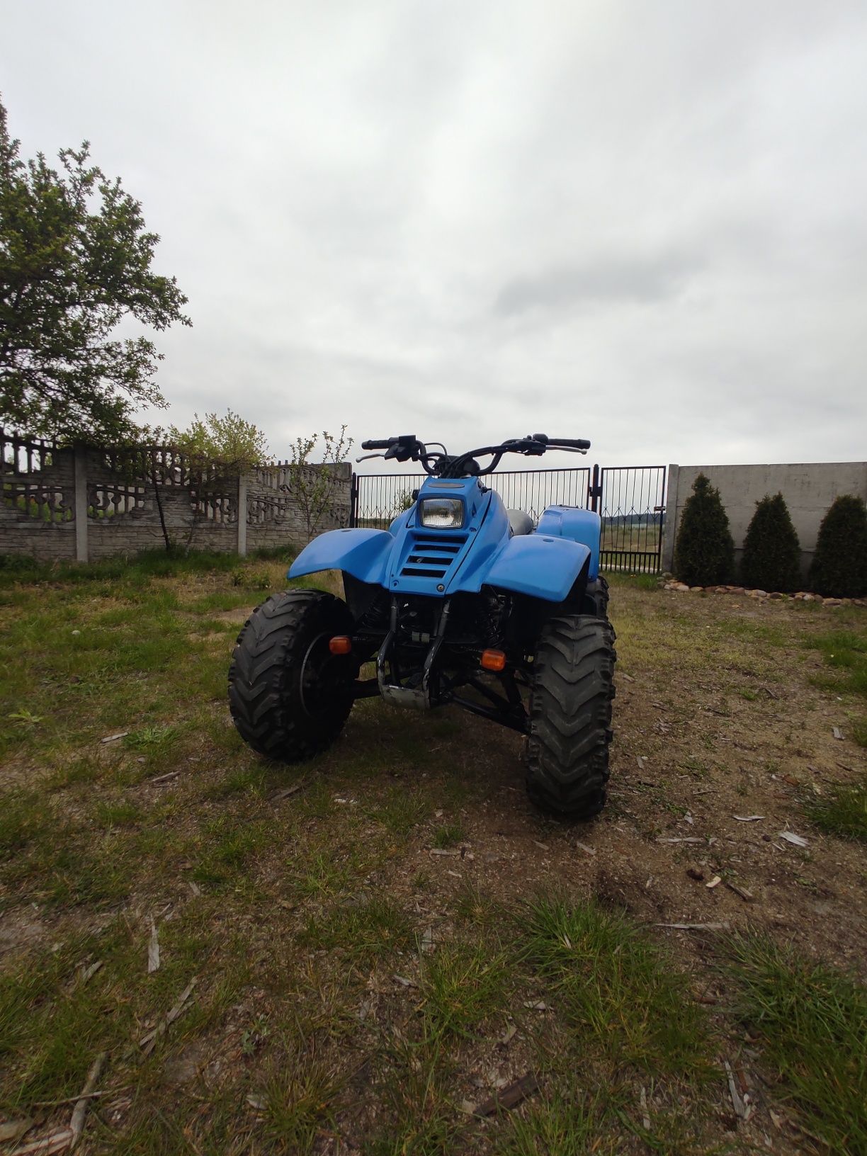 Quad Kawasaki Klf 300