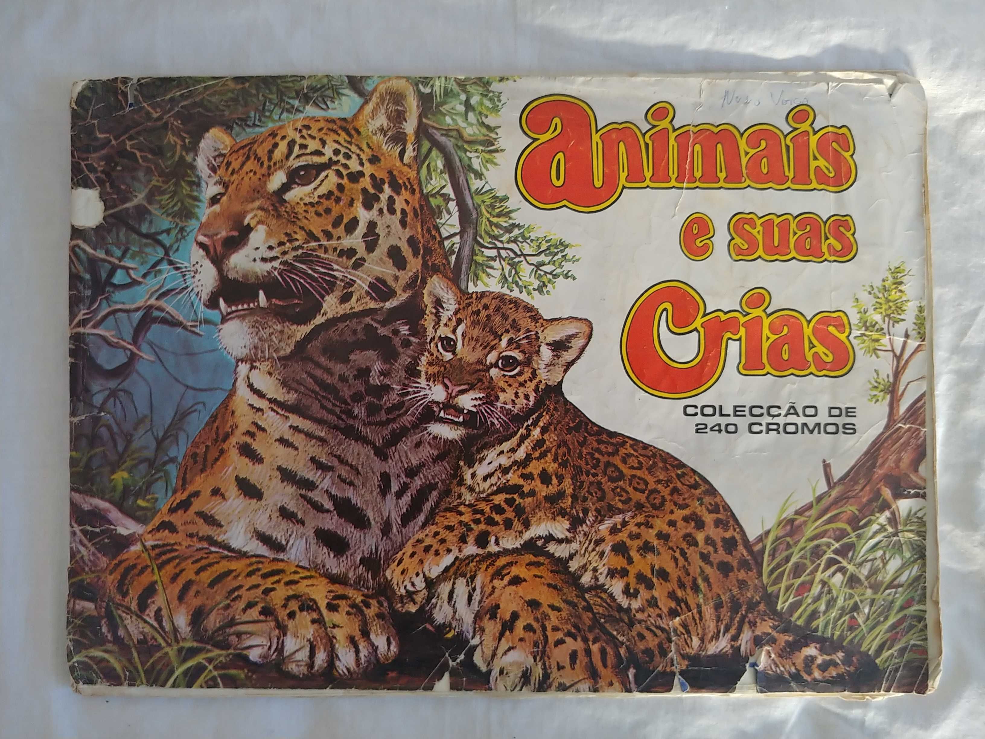 5 Cadernetas de cromos antigas - Anos 70 e 80