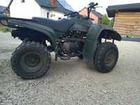 Yamaha Bear Tracker 250