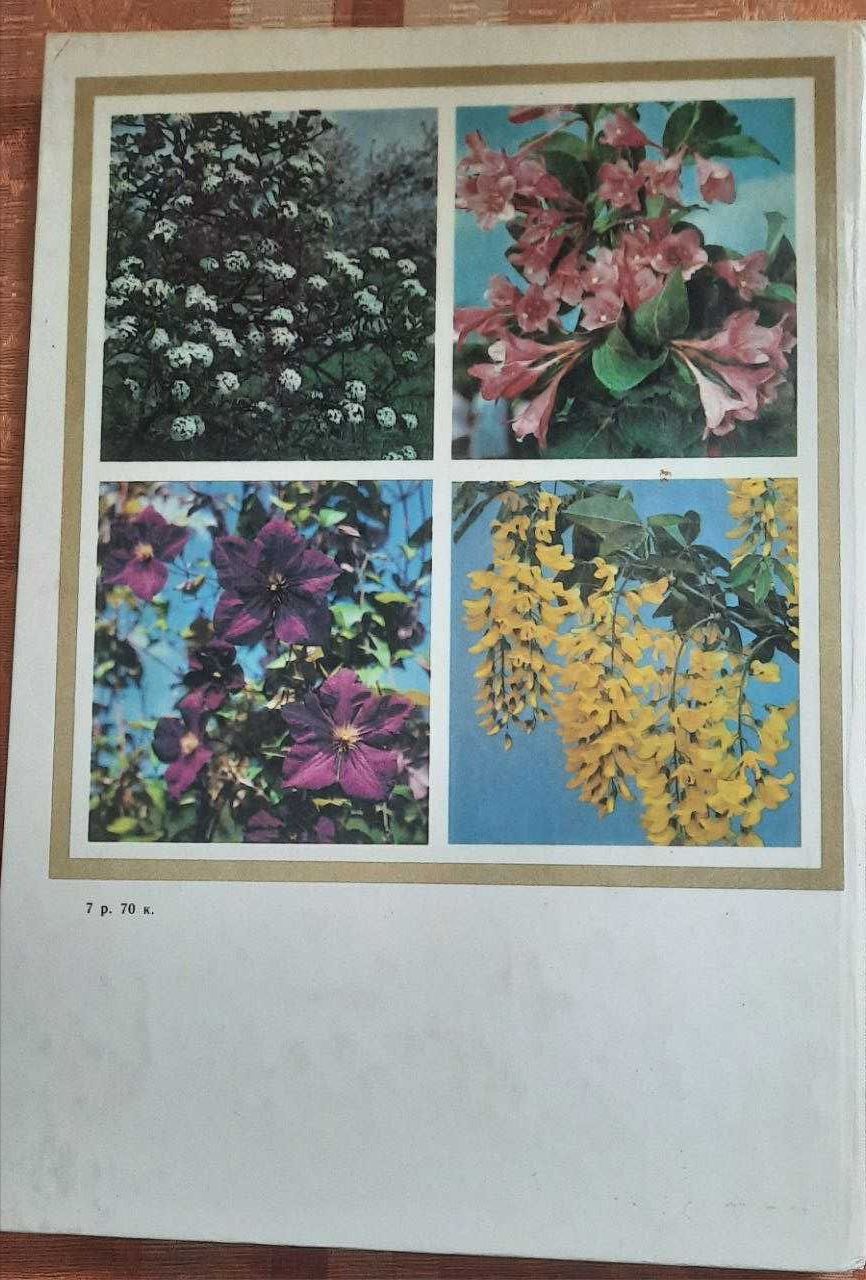 Книга ЦВЕТЫ в отличном состоянии