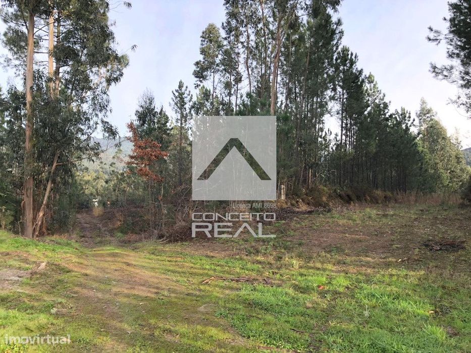 Terreno com 16.800 m2 em Medas – Gondomar