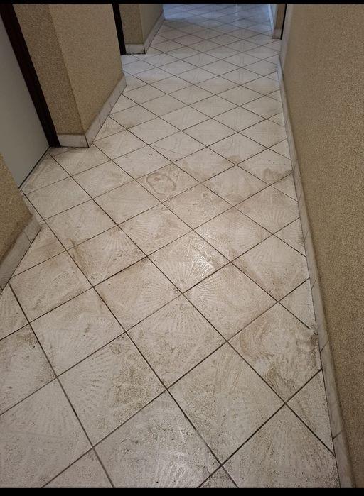 Kompleksowe usługi sprzątające. Mycie okień. Przyjmę zlecenie firm i