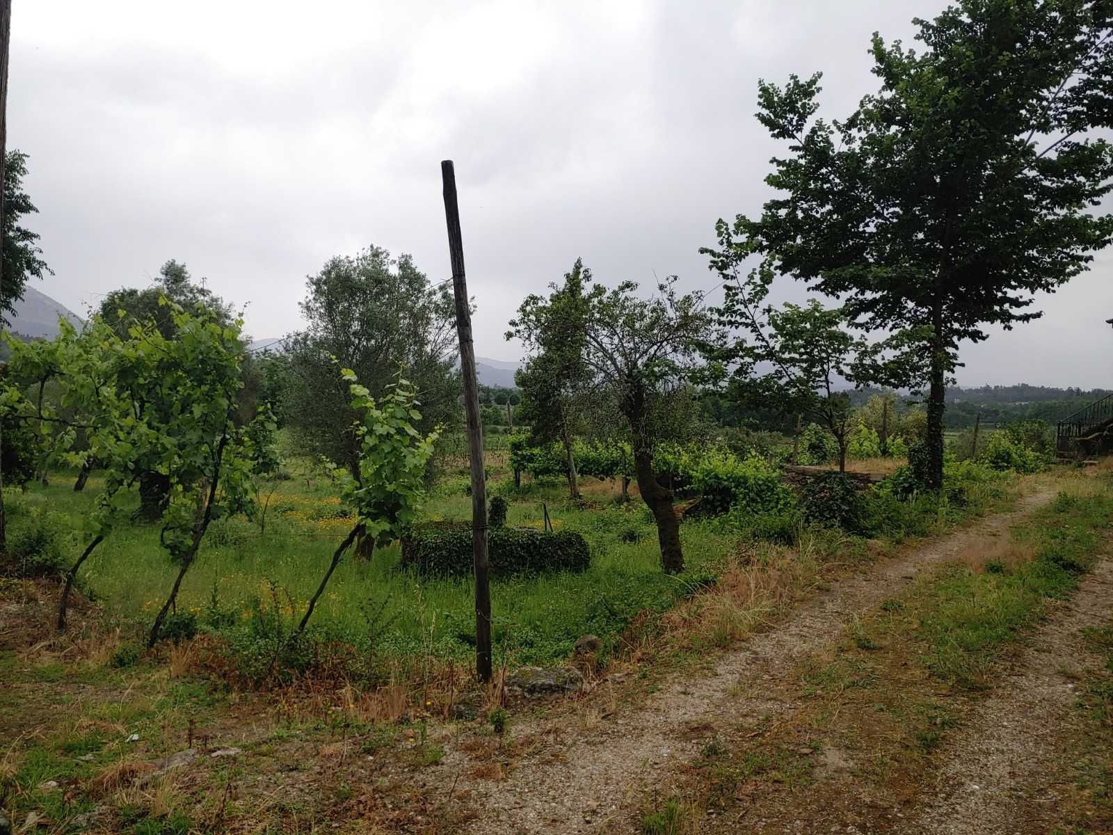 Moradia em Ruína com Terreno 1000m², Vale de Bouro, Celorico de Basto