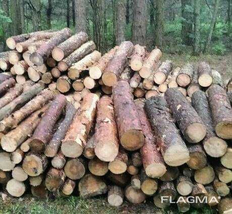 Продам Соснові дрова