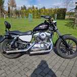 Sprzedam Harley Davidson Sportster 1200XL