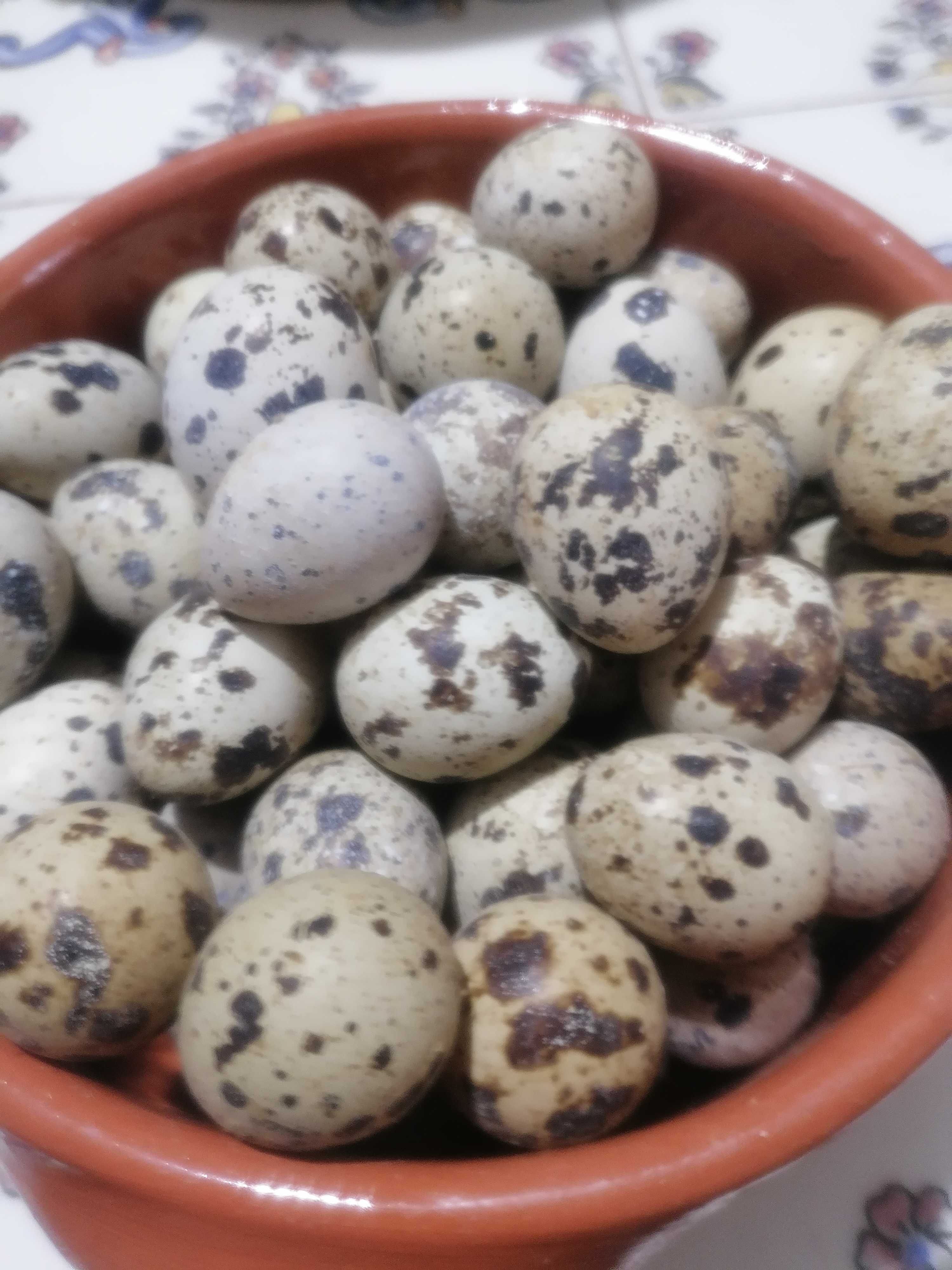 Ovos de codorniz