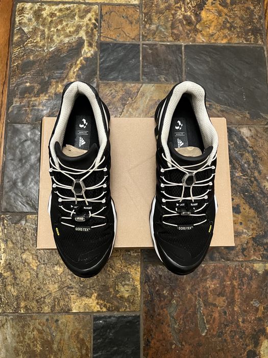 Adidas Terrex Fast R Gore-Tex