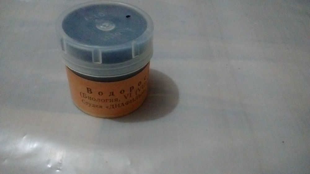 Диафильм для школьников Водоросли (Биология 6, 7 класс)