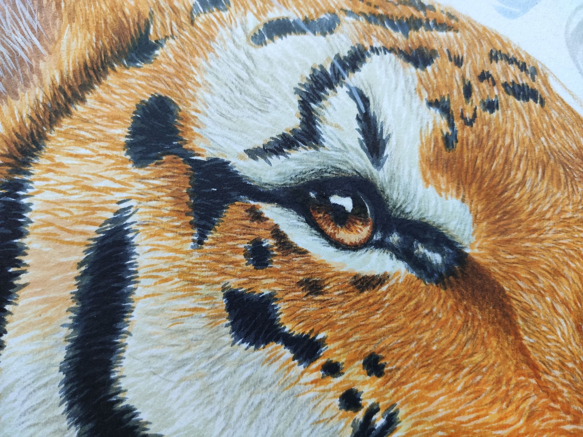 Картина а3 маркером тигр