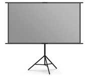 Lejiada Ekran projekcyjny przenośny na statywie 16:9 221x125cm