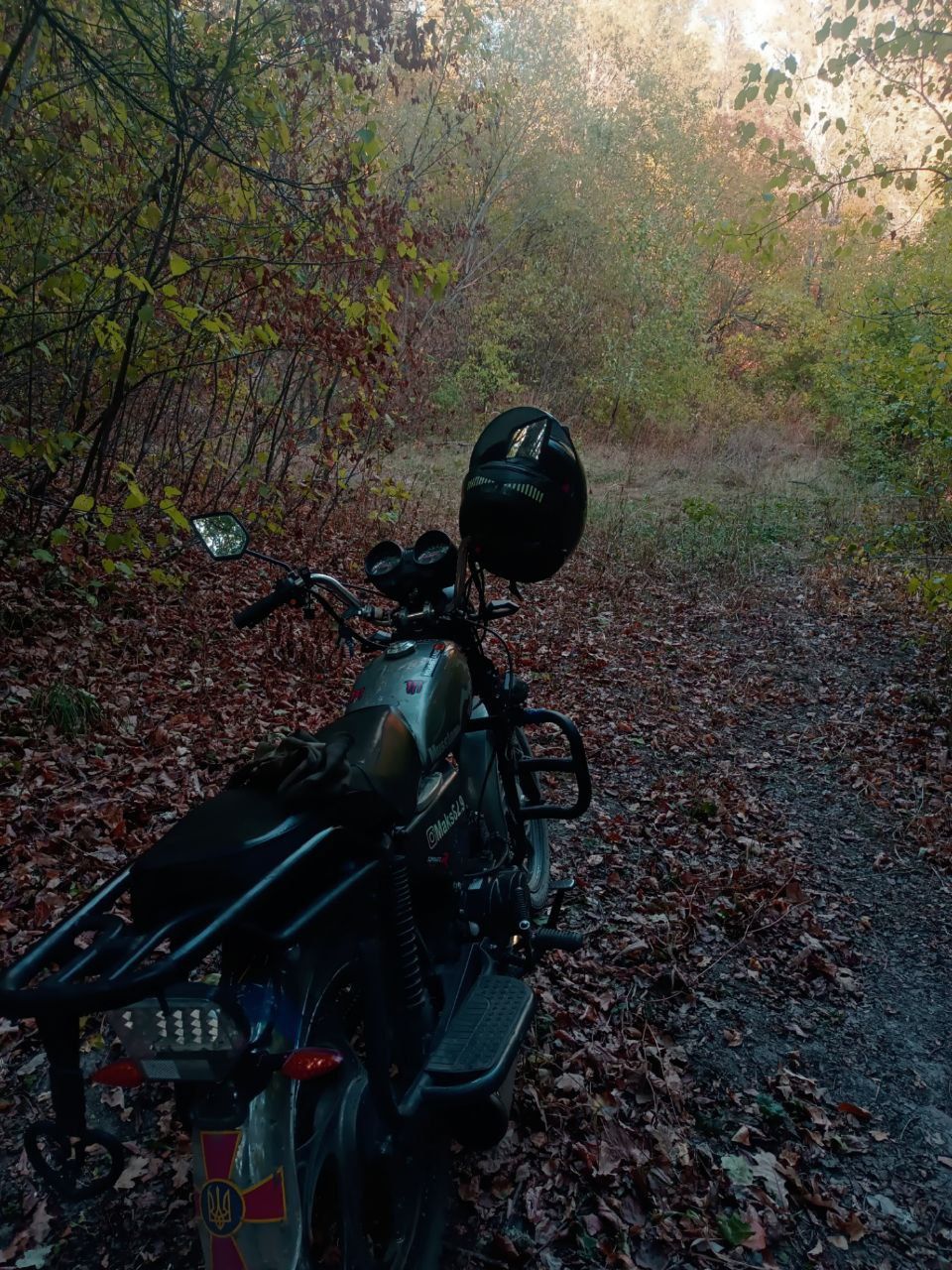 Mustang MT 125-2