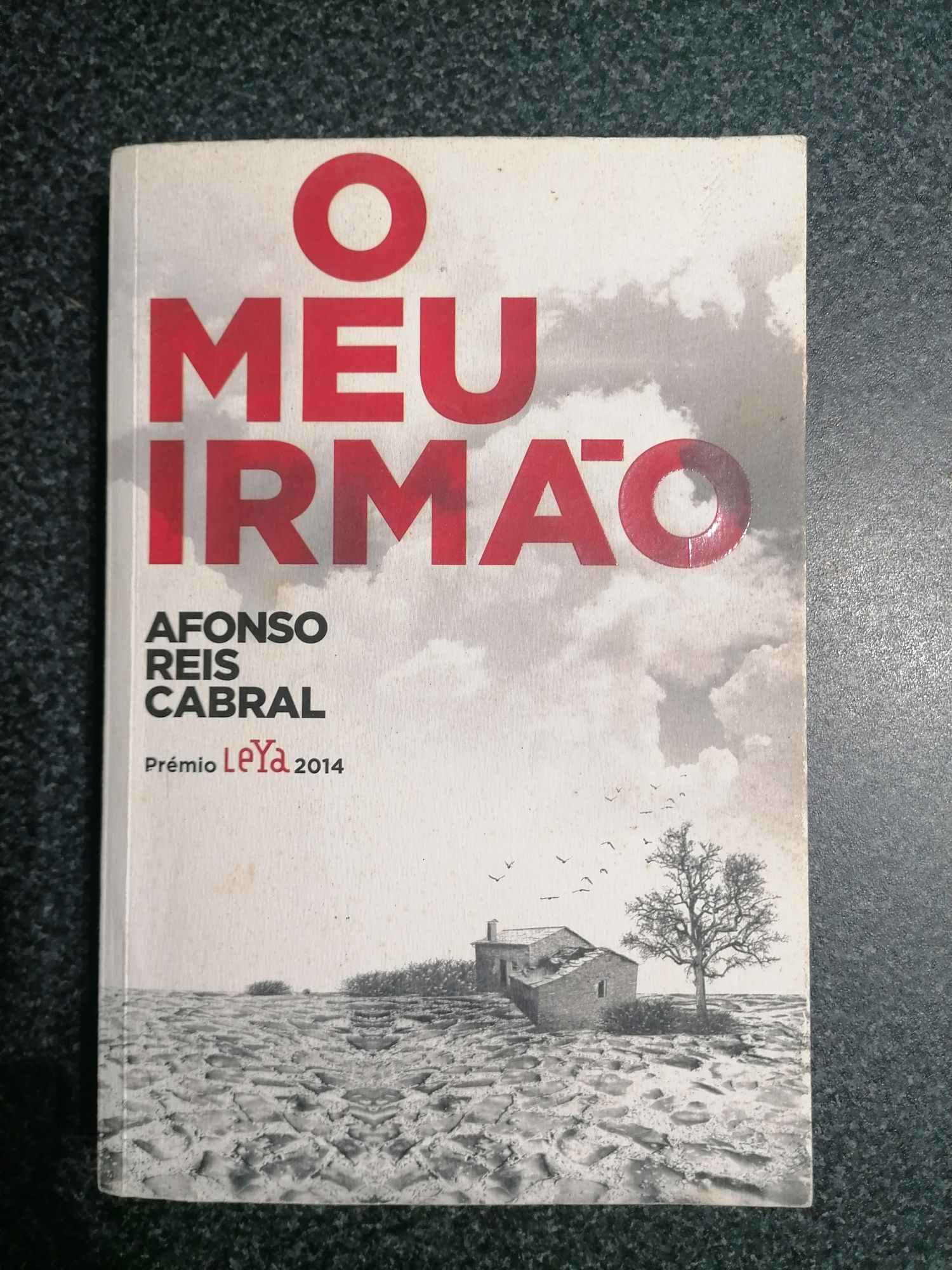 Livro - O meu irmão