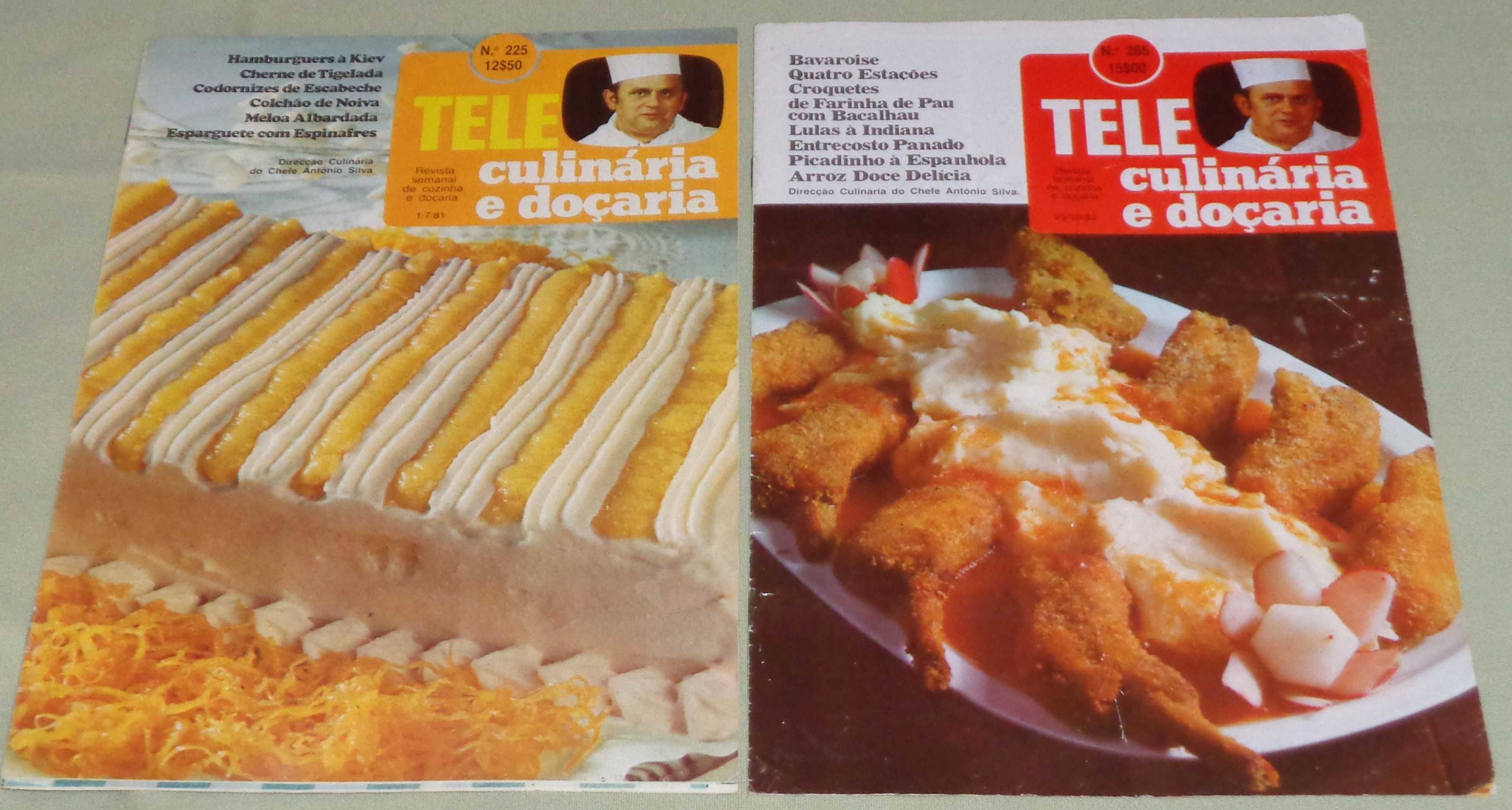 Conjunto de 12 revistas Teleculinária (11 normais e 1 especial)