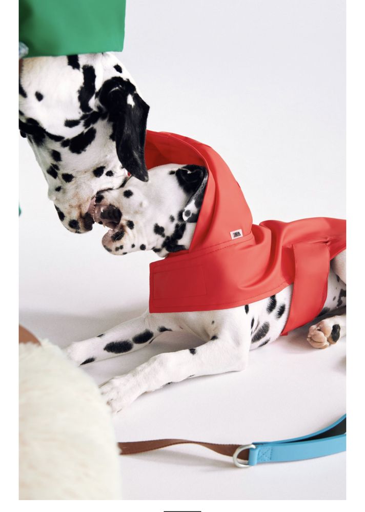 Kurtka dla psa przeciwdeszczowa z kapturem L Zara