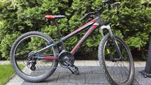 Rower młodzieżowy UNIBIKE RAPTOR