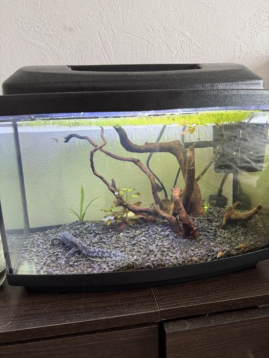 Акваріум 34 літри