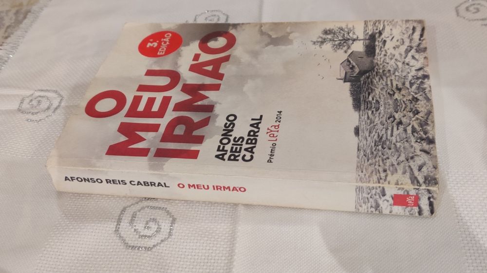 Livro o meu irmão