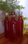 Olej dziurawcowy 200 ml