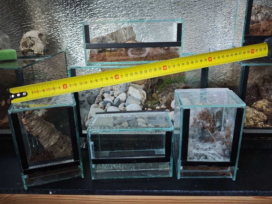 Terraria szklane dla pająków, gadów duże poziome i pionowe, 4 małe