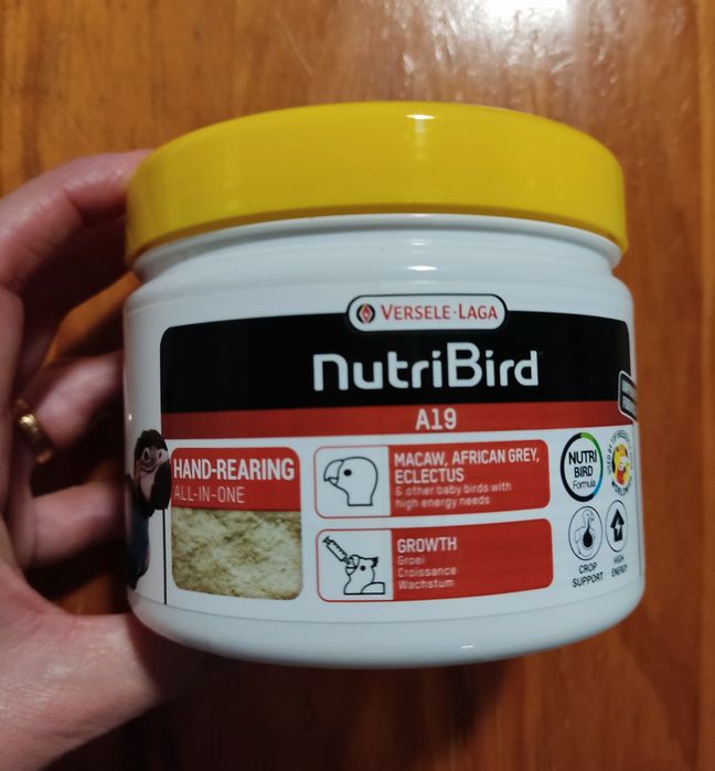 Papa para crias de pássaros
