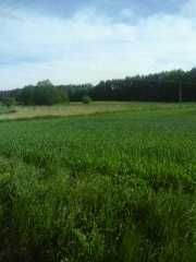 Działka grunt ziemia rolna