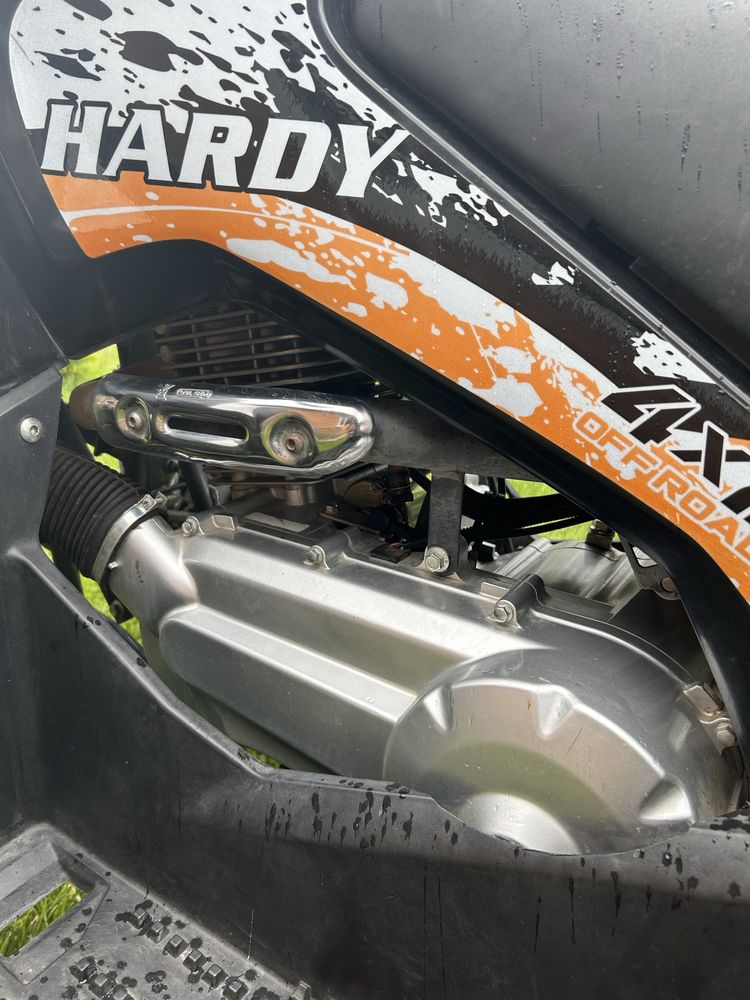 Mikilon hardy 200
