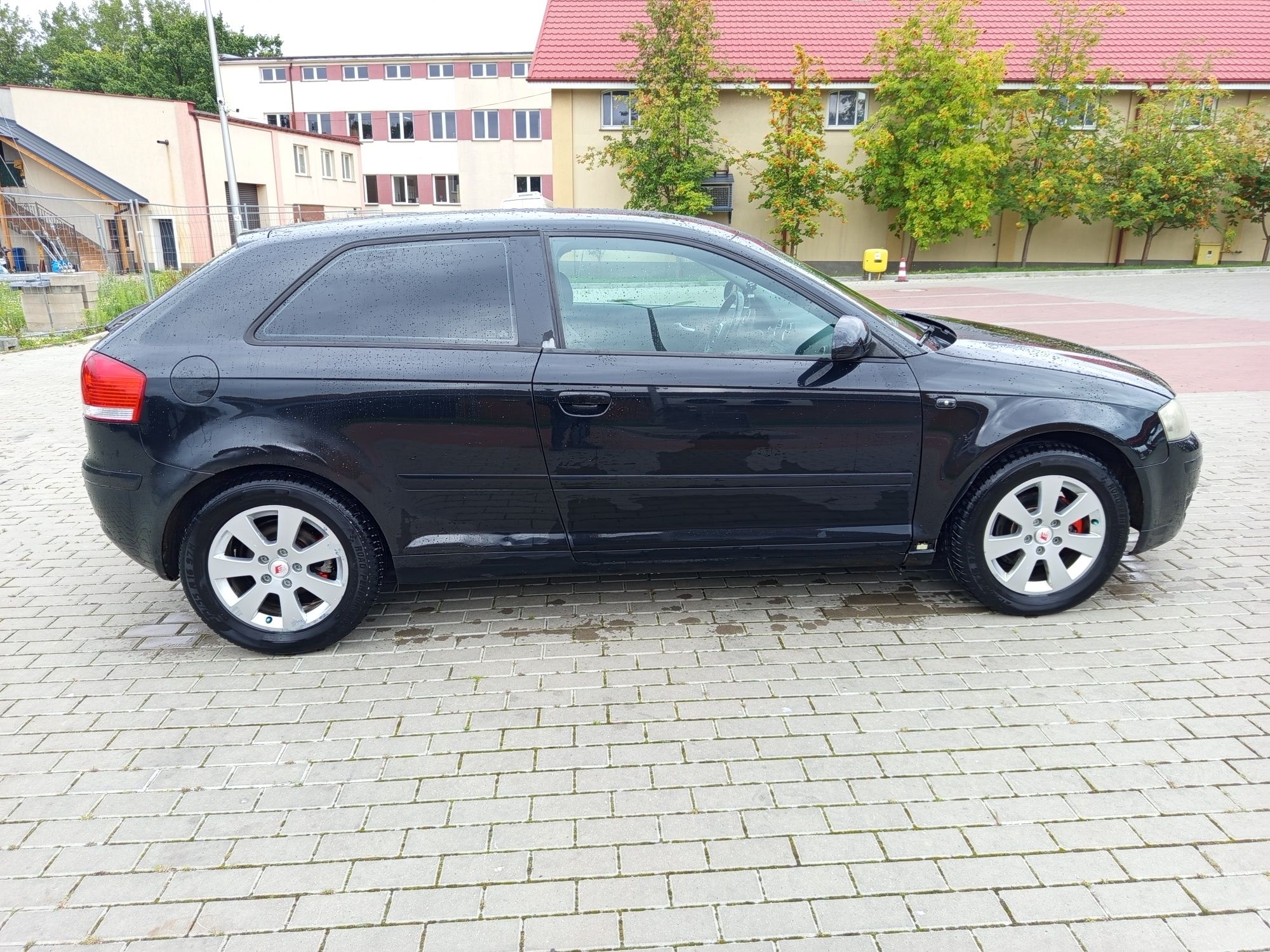 Audi A3 8p 1.9 TDI