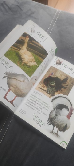 Przyjaciela z zagrody