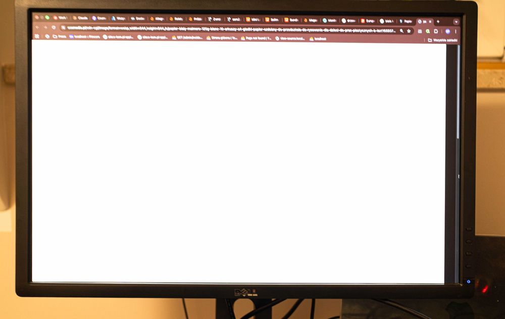 Monitor Dell 2412m! 16:10! 1920x1200 Polecam!