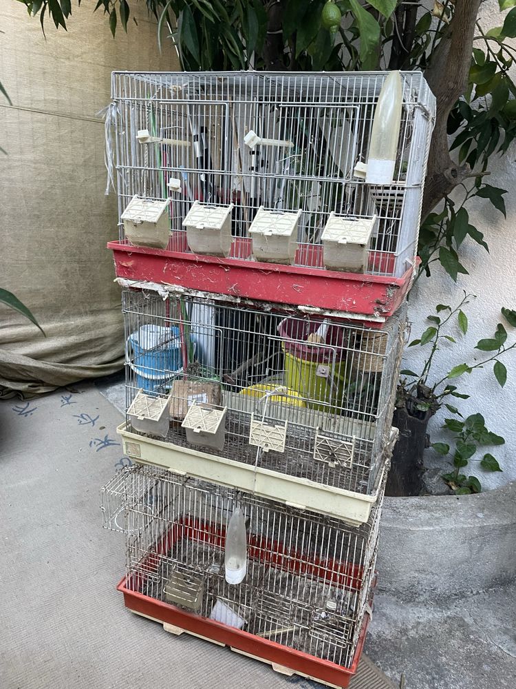 Gaiola para passaros