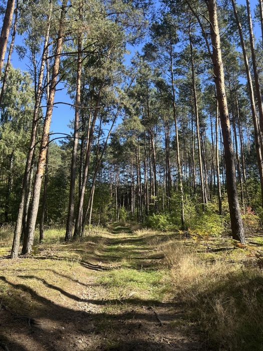 Wolne terminy! Domek dla dwojga Kamion nad rzeką Wartą, łódzkie