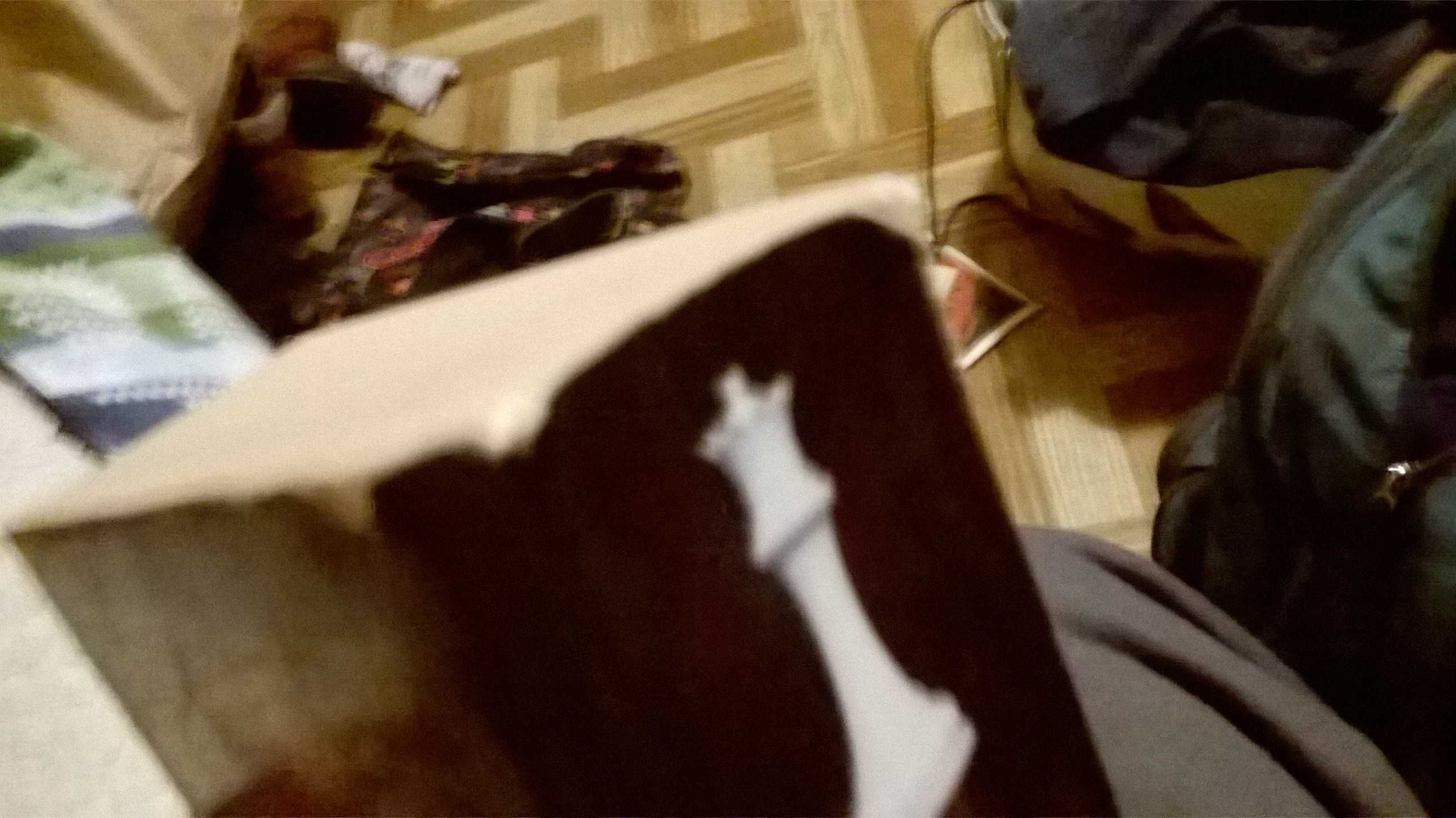 "Przed Świtem" Stephanie Meyer