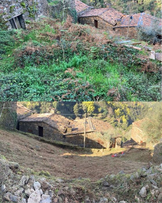 Jardinagem e Limpeza de Terrenos