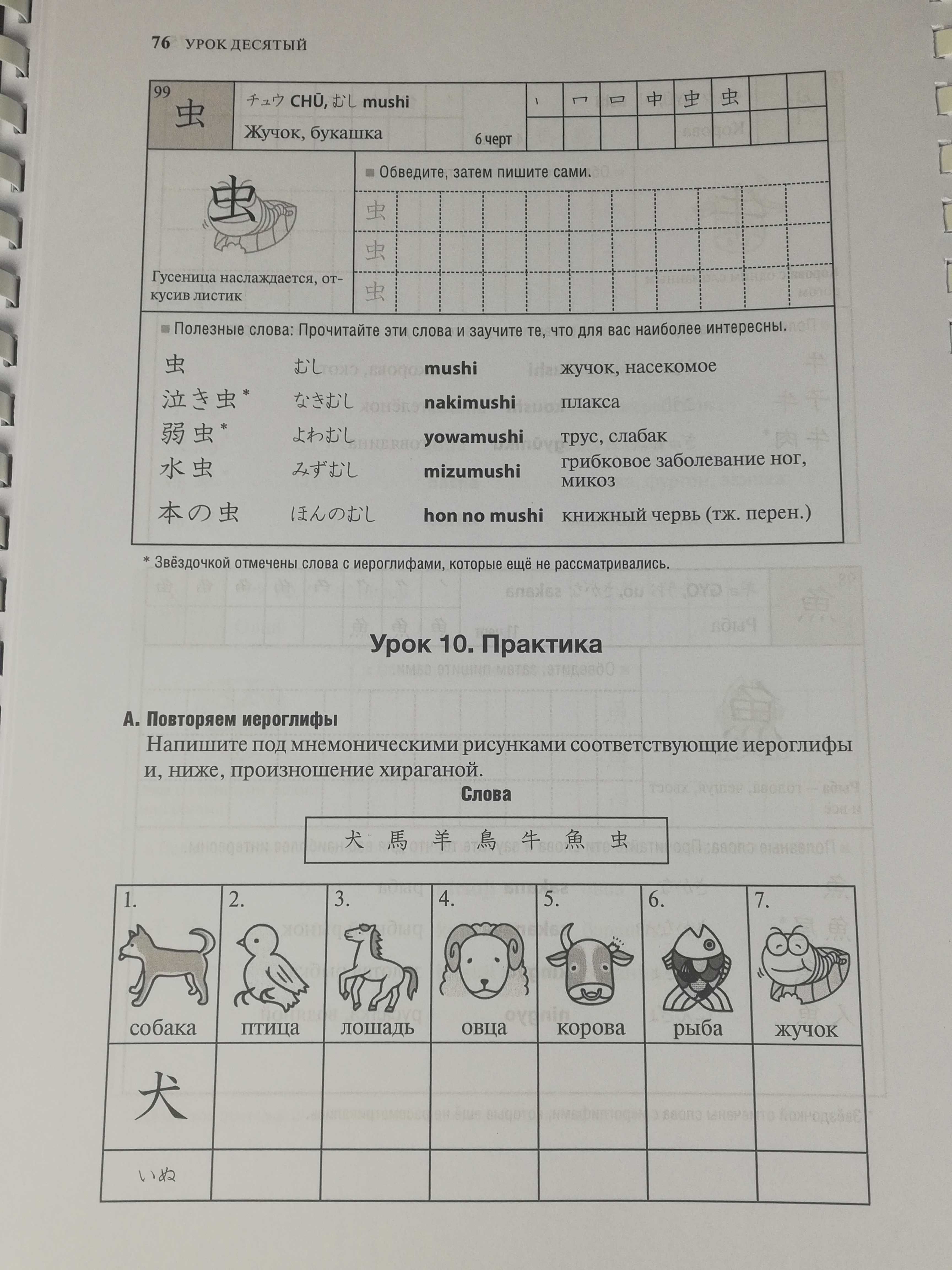 японский язык учебник прописи Стаут хирагана катакана кандзи