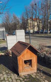 Porządna drewniana buda dla pieska