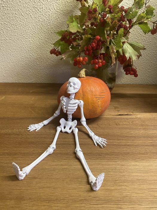 Рухомий скелет 23 см